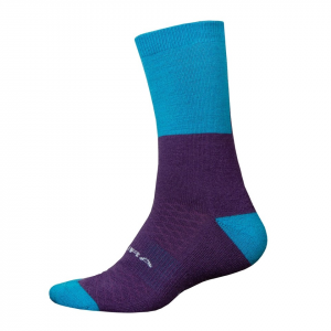 Men's BaaBaa Merino Winter Sock - Electric Blue